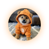 doge